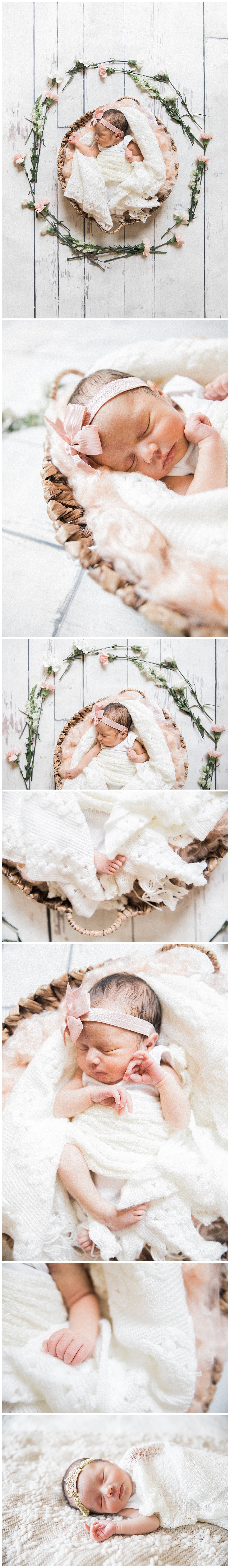 el paso at home newborn session