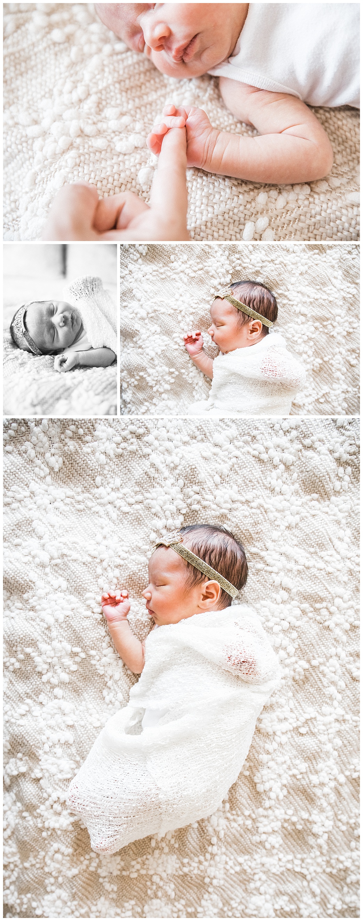 el paso at home newborn session