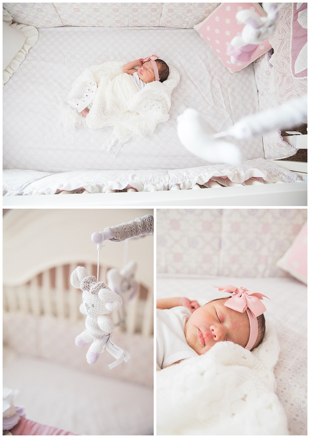 el paso at home newborn session