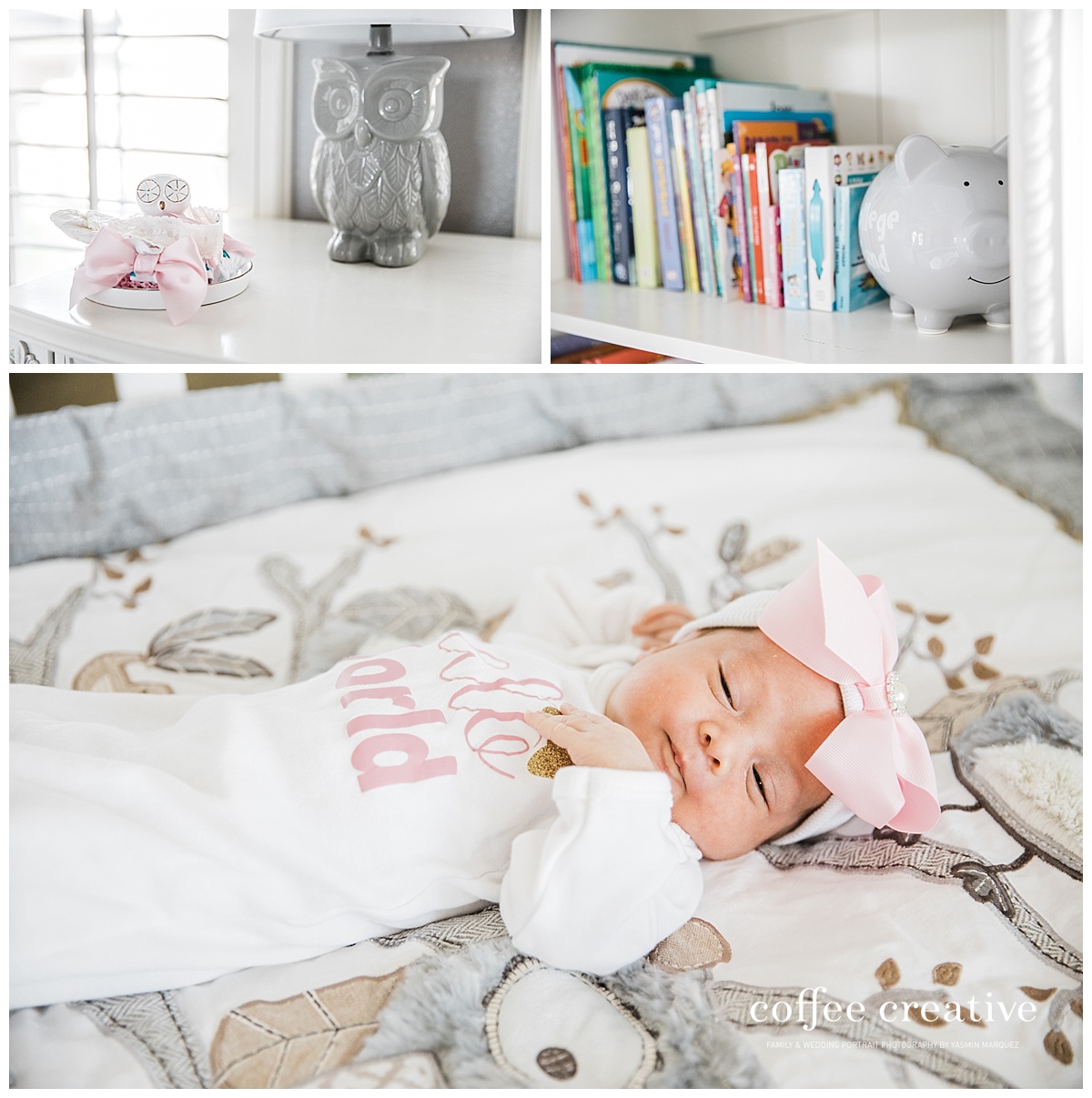 el paso newborn photographer