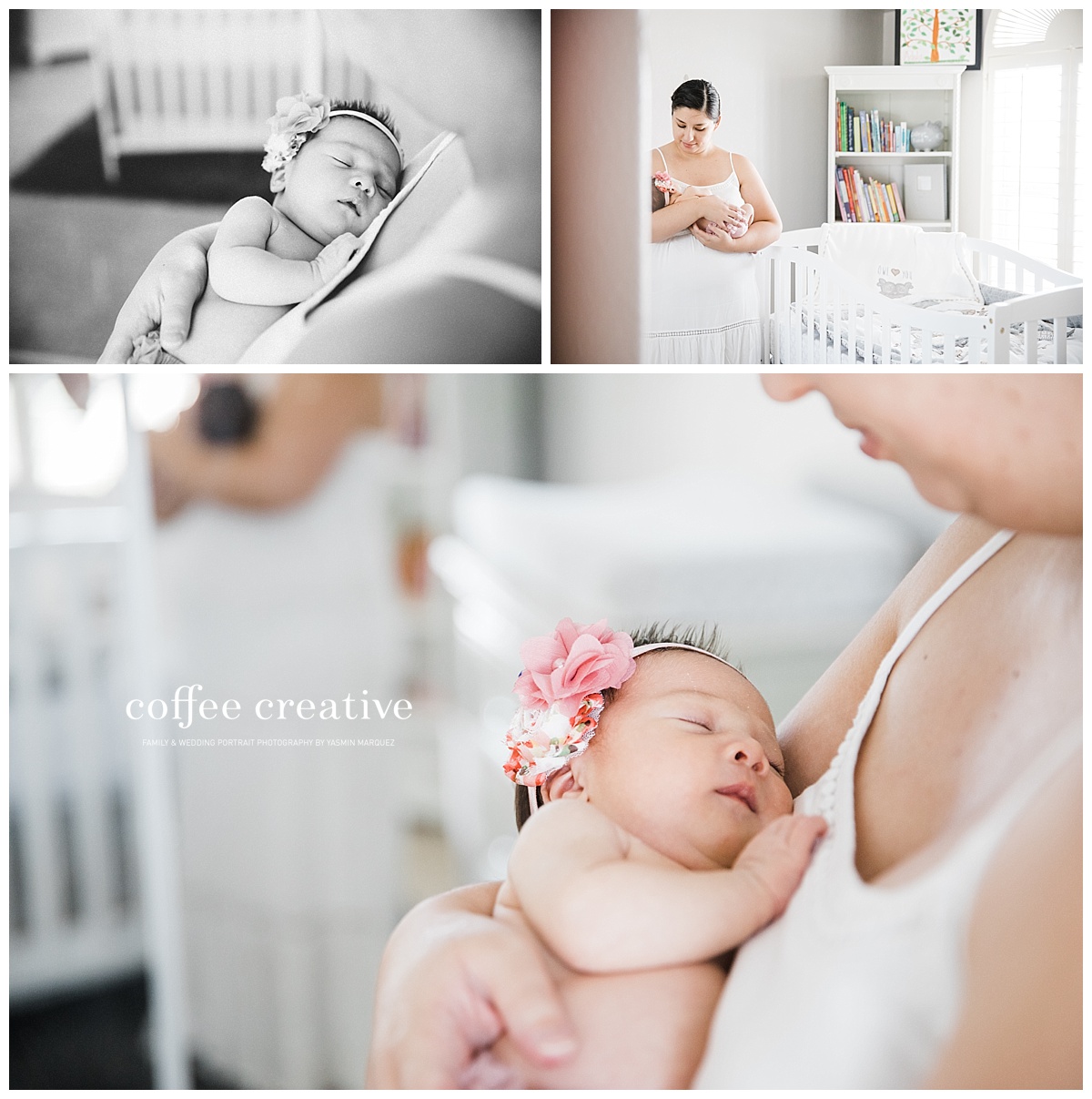 el paso newborn photographer