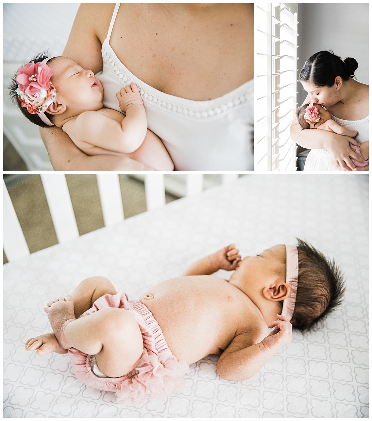 el paso newborn photographer