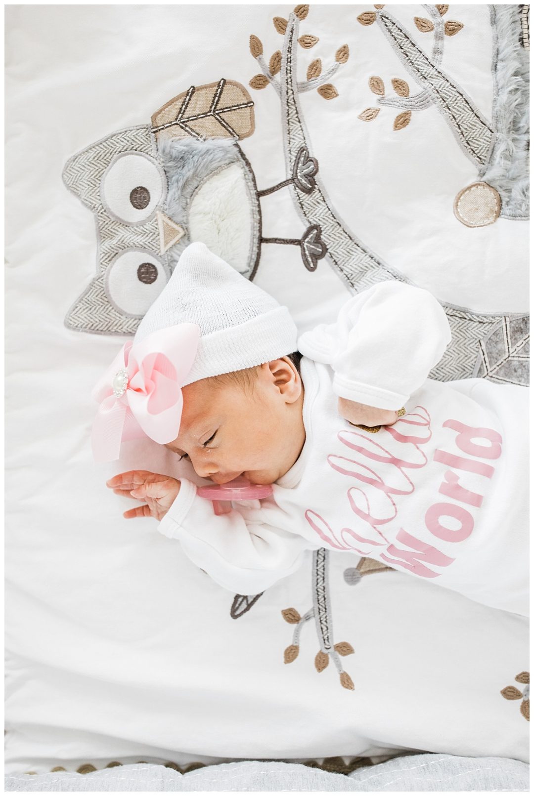 el paso newborn photographer