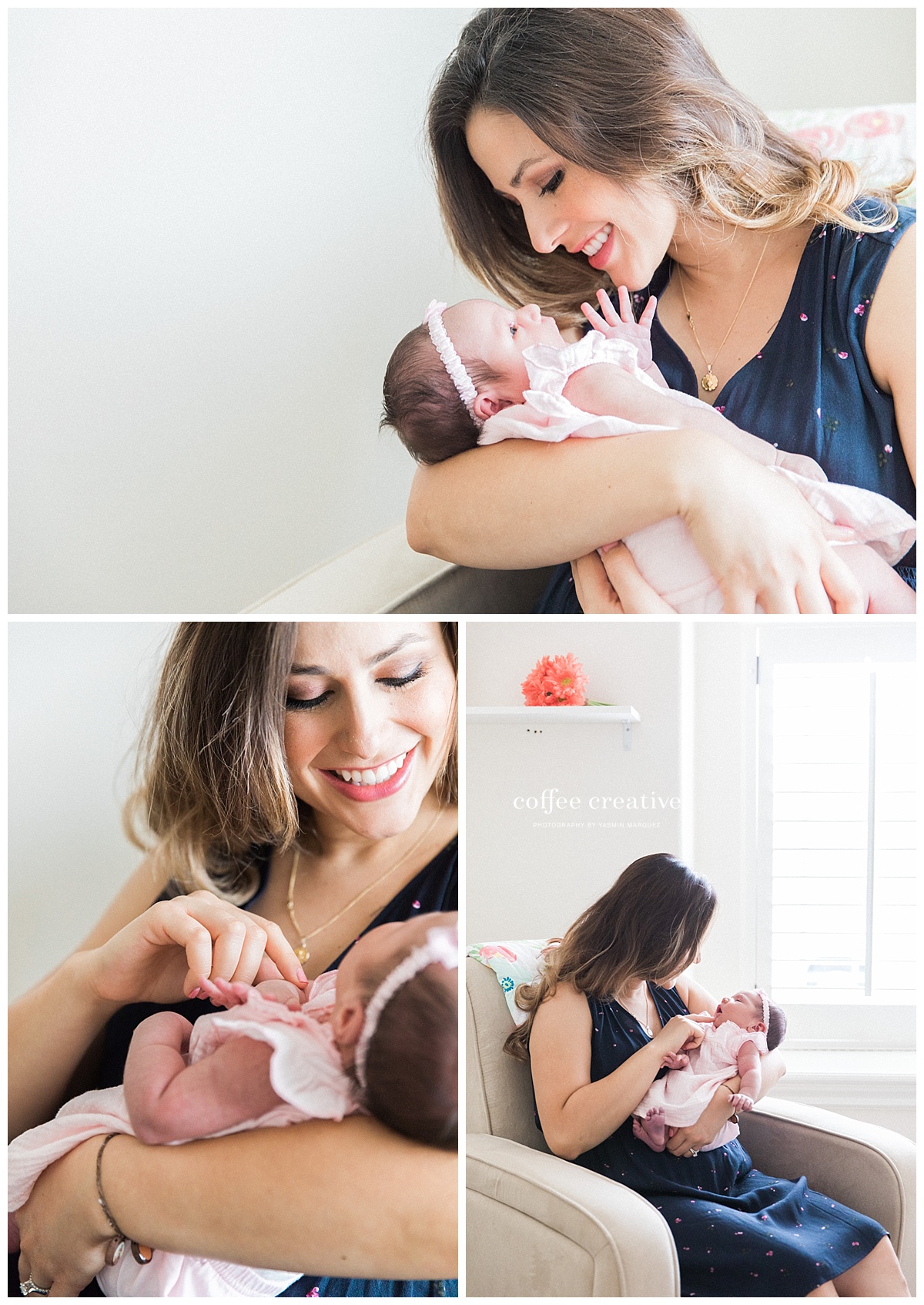 el paso newborn photography