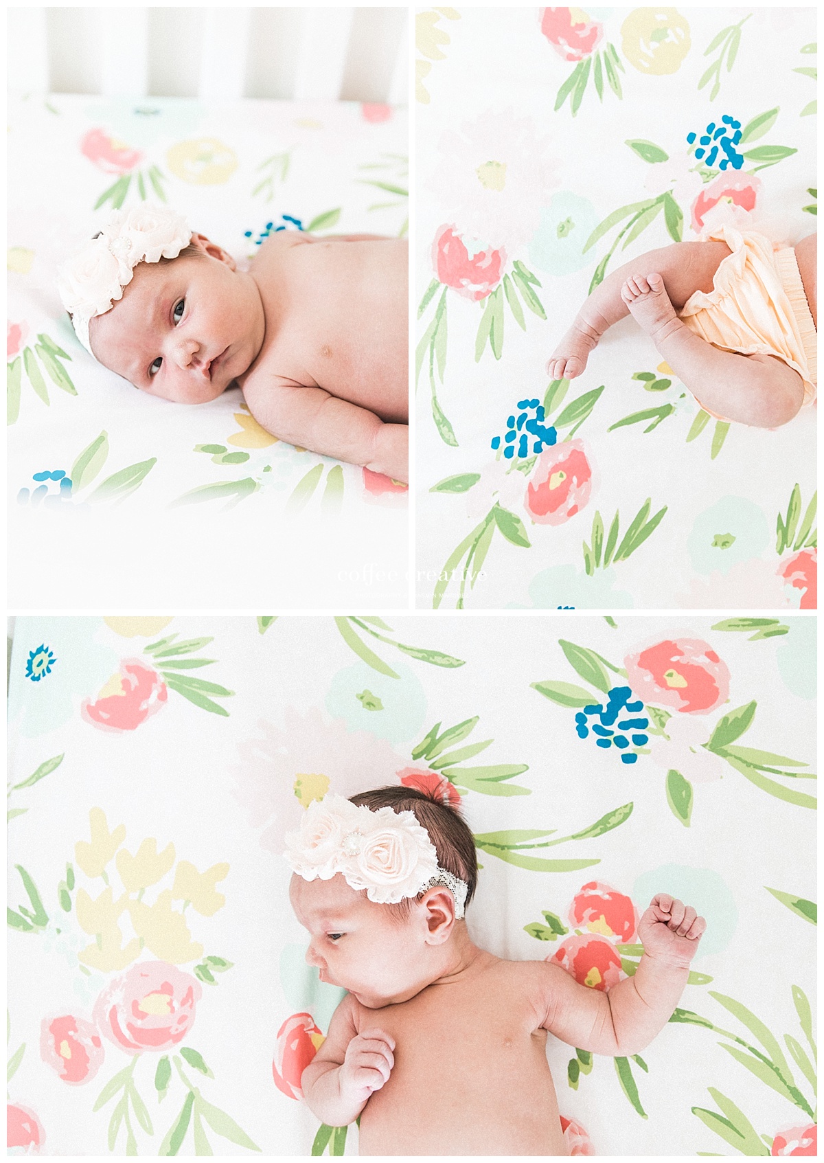 el paso newborn photography