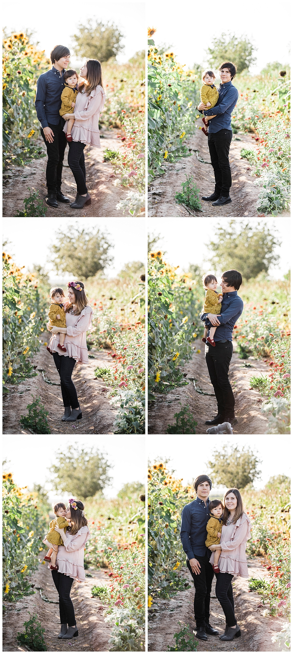 el paso fall mini photography sessions