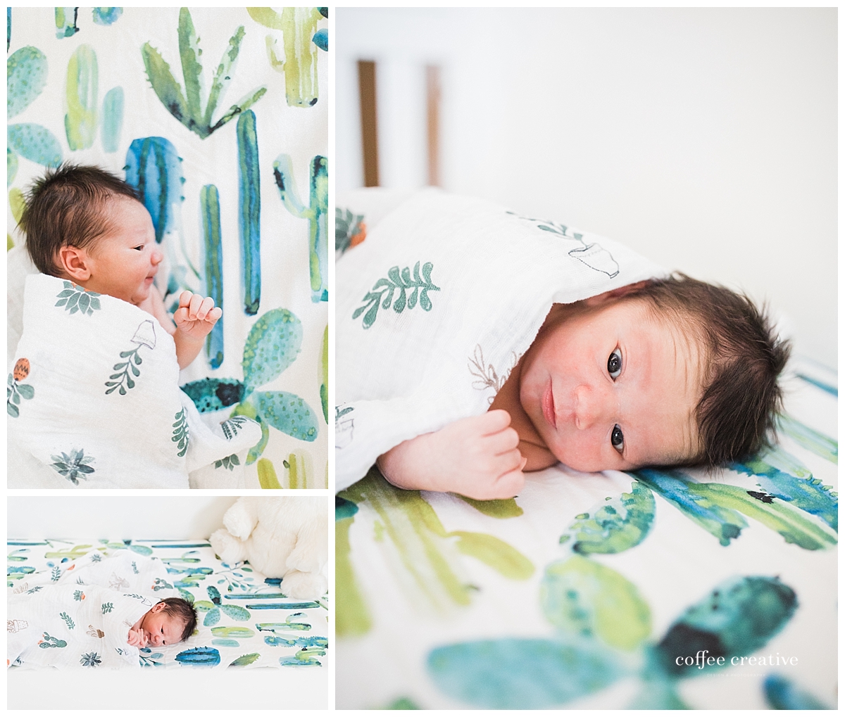 el paso newborn session, southwest nursery theme