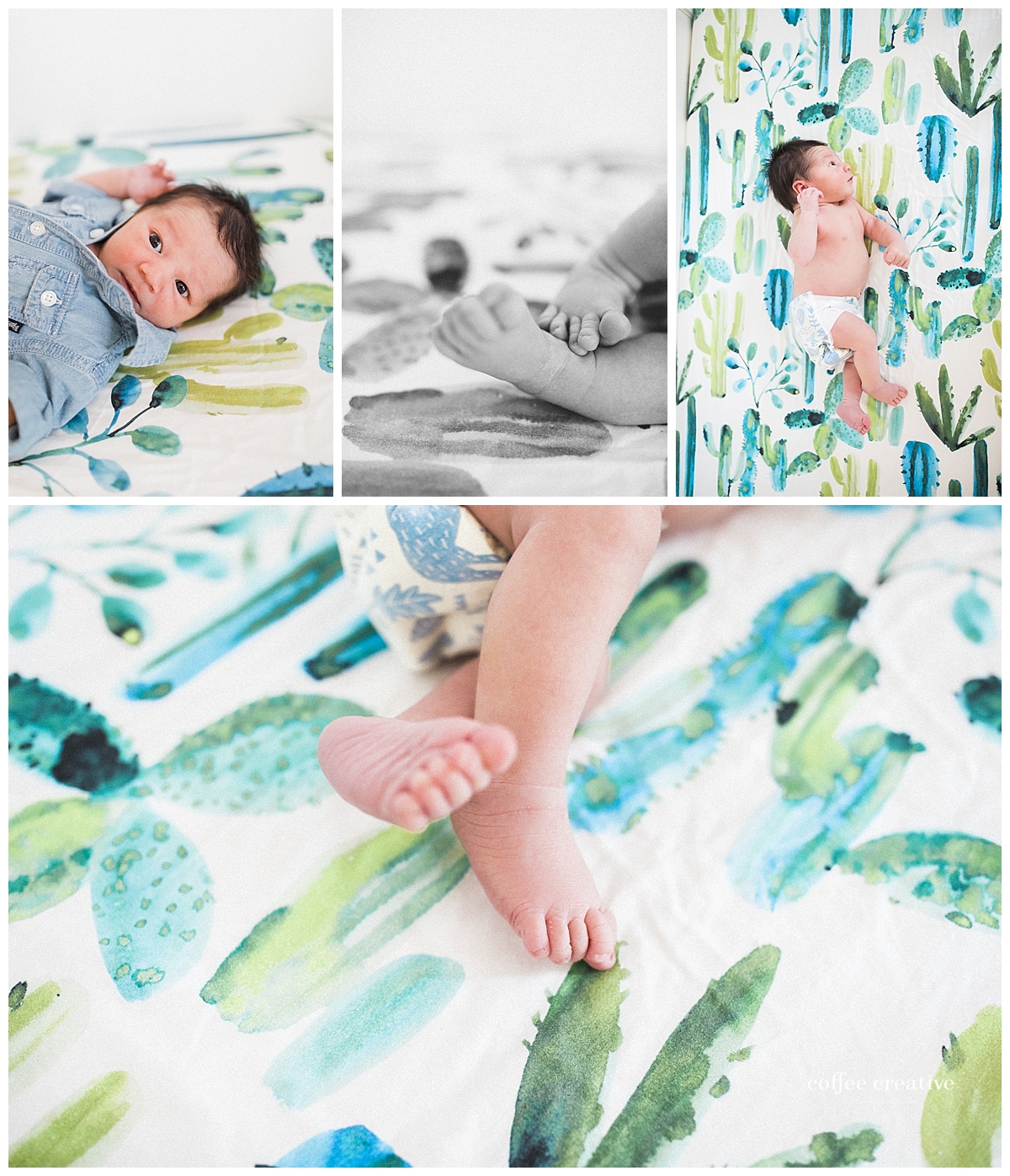 el paso newborn session, southwest nursery theme