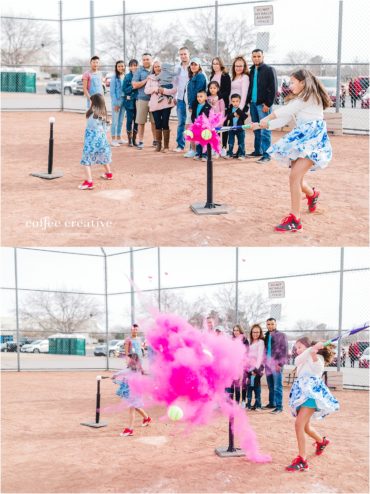 Baseball Inspired Gender Reveal