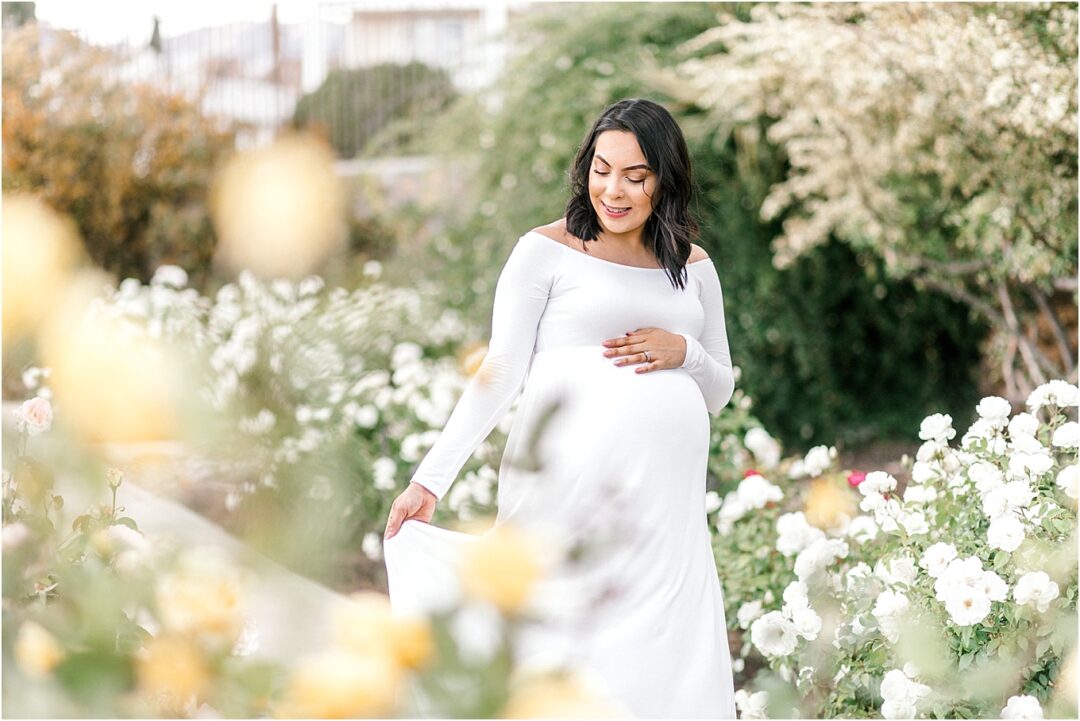 rose garden maternity session