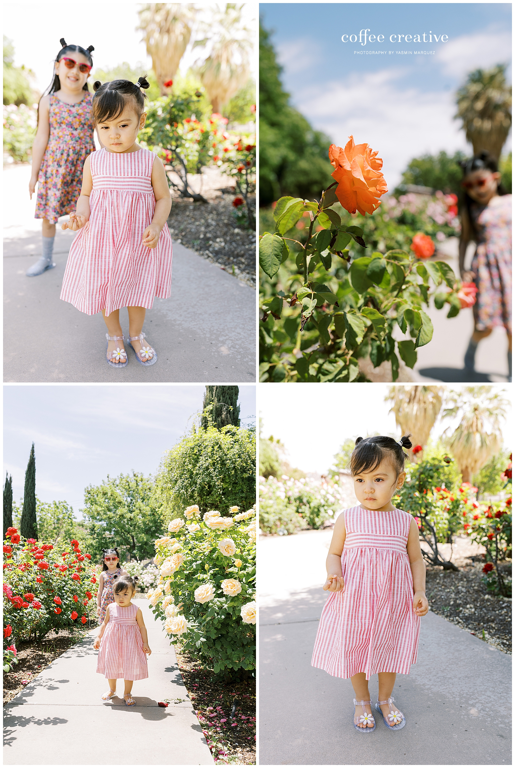 el paso rose garden, el paso mom blogger, el paso garden