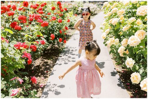 Things to do in El Paso with Kids, el paso rose garden, el paso photographer