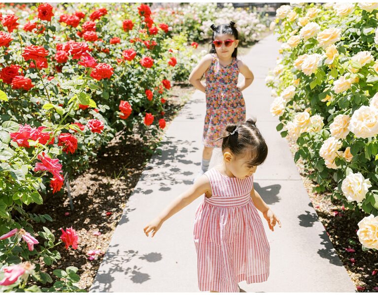 Things to do in El Paso with Kids, el paso rose garden, el paso photographer